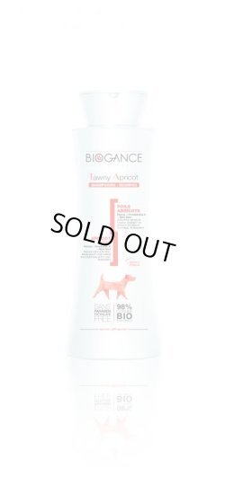 画像1: BIOGANCE タウニー・アプリコットシャンプー 250ml