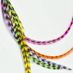画像1: Pet Plume Originalシリーズ Rainbow
